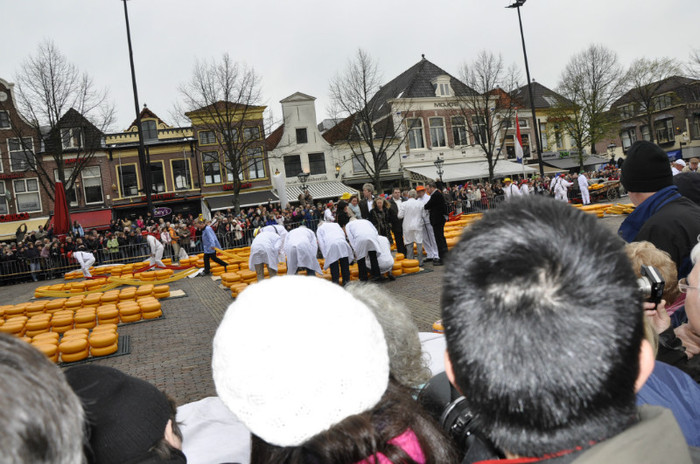 _DSC2871 - ALKMAAR