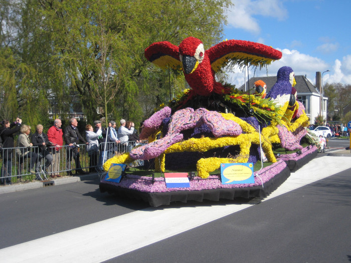 IMG_8796 - Parada florilor 2012 keukenhof 21-22 aprilie