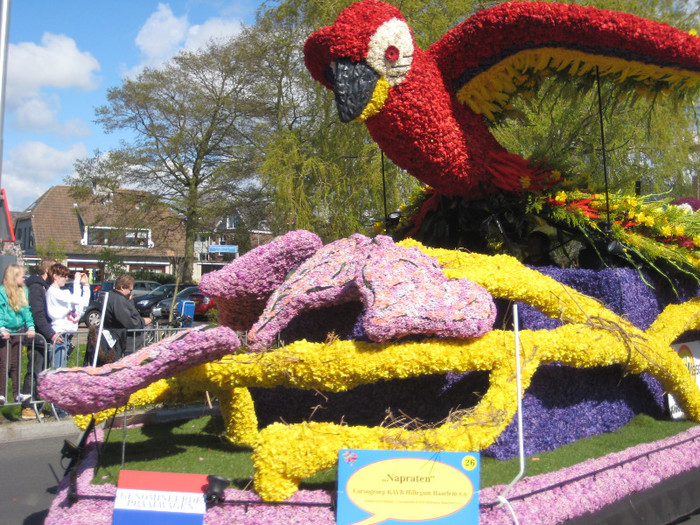IMG_8797 - Parada florilor 2012 keukenhof 21-22 aprilie