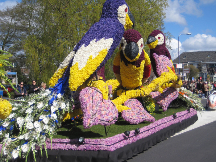 IMG_8798 - Parada florilor 2012 keukenhof 21-22 aprilie