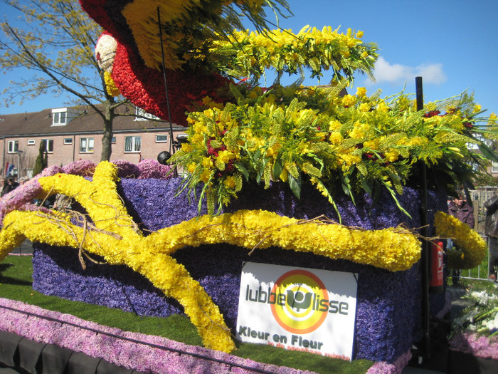 IMG_8799 - Parada florilor 2012 keukenhof 21-22 aprilie