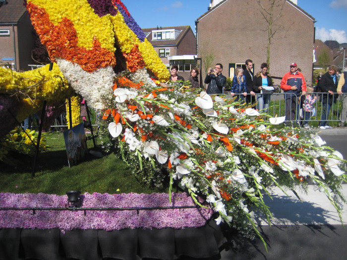 IMG_8803 - Parada florilor 2012 keukenhof 21-22 aprilie