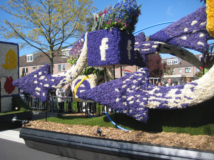 IMG_8830 - Parada florilor 2012 keukenhof 21-22 aprilie
