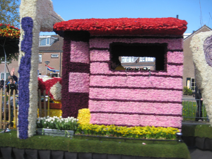 IMG_8938 - Parada florilor 2012 keukenhof 21-22 aprilie