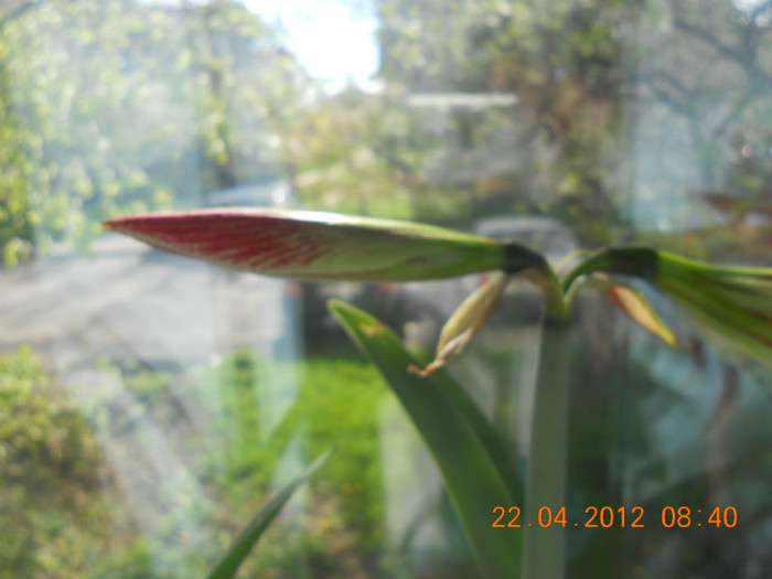DSCN0638