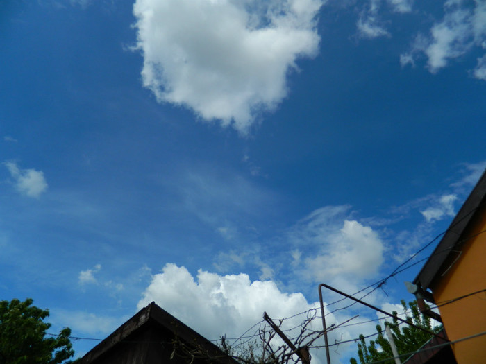 DSCN3416