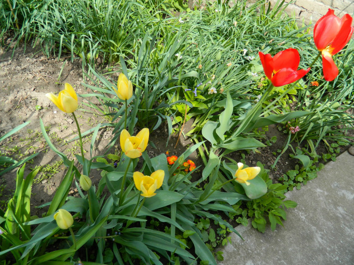 DSCN3418