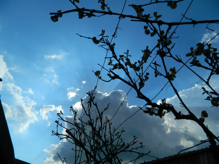 DSCN3492