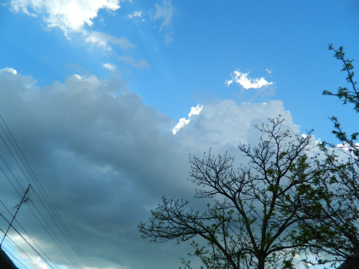DSCN3545