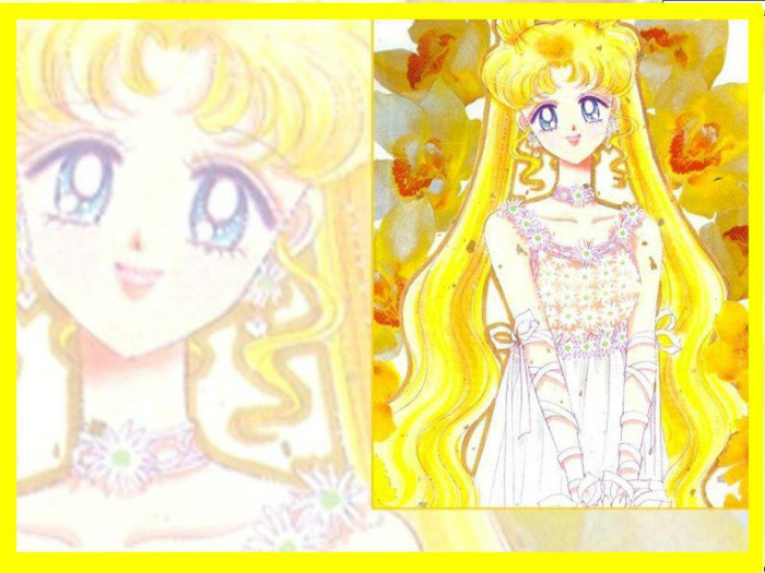 402144_238826359540657_100002398841530_486557_1388046332_n - Sailor Moon-animeul copilariei noastre