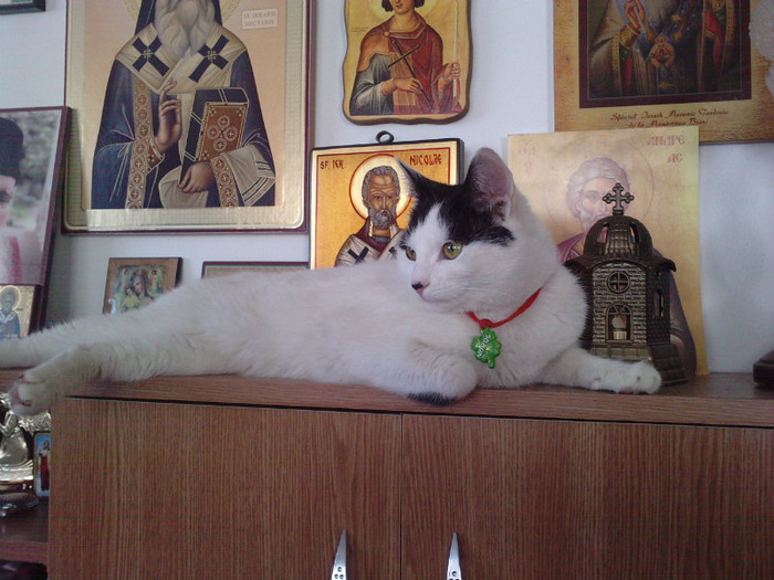 locul favorit in camera de zi