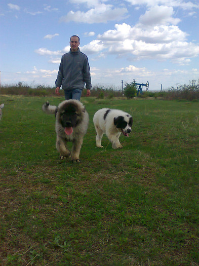 impreuna cu prietenul meu, Ares de Nitoi; La plimbare
