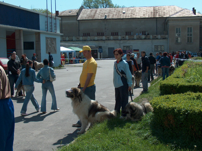 HPIM0796a - Expozitie Targoviste 2005