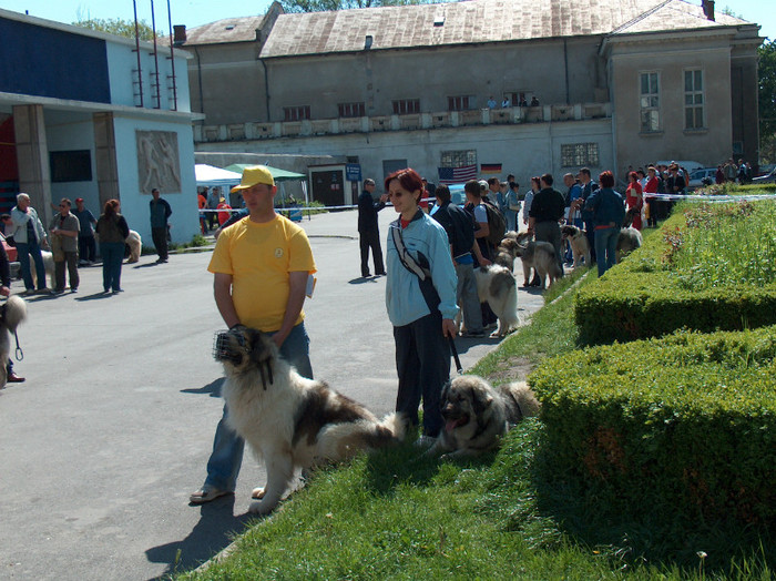 HPIM0797 - Expozitie Targoviste 2005