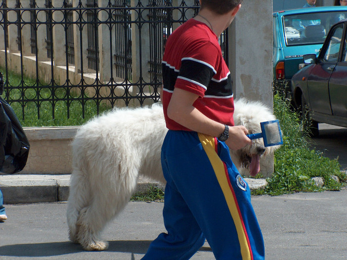 HPIM0800 - Expozitie Targoviste 2005