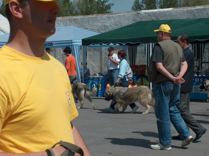 HPIM0808a - Expozitie Targoviste 2005