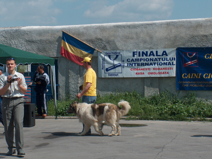 HPIM0810 - Expozitie Targoviste 2005