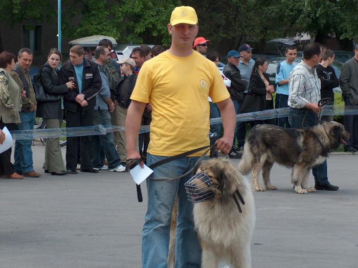 HPIM0820 - Expozitie Targoviste 2005