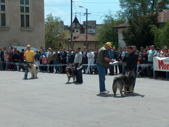 HPIM0822 - Expozitie Targoviste 2005