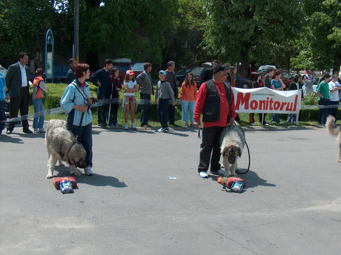 HPIM0839 - Expozitie Targoviste 2005