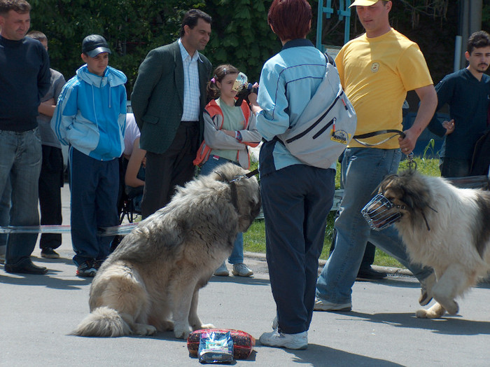 HPIM0840 - Expozitie Targoviste 2005