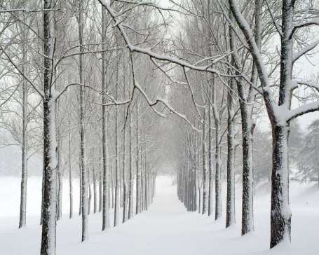 iarna_elvetia - Peisaje
