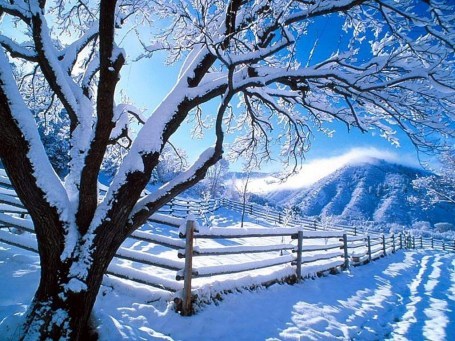 imagini_frumoase_de_iarna_041 - Peisaje