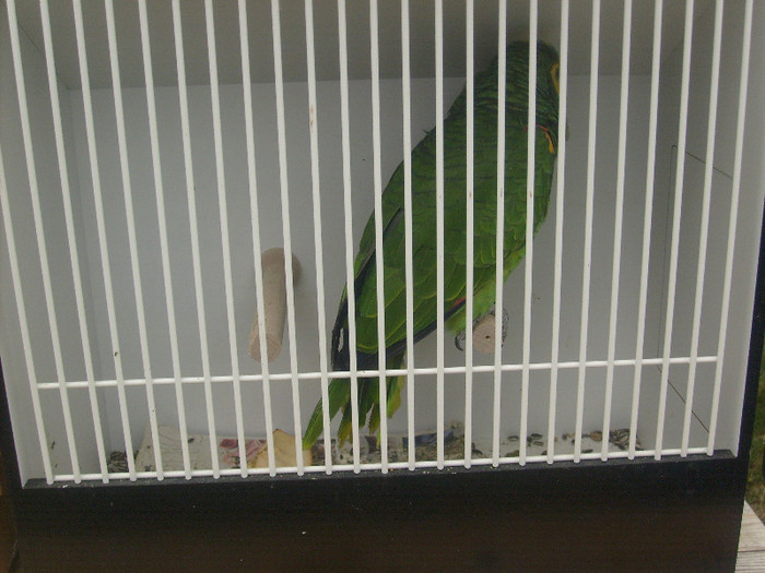 S6303206 - Monor aprilie 2012