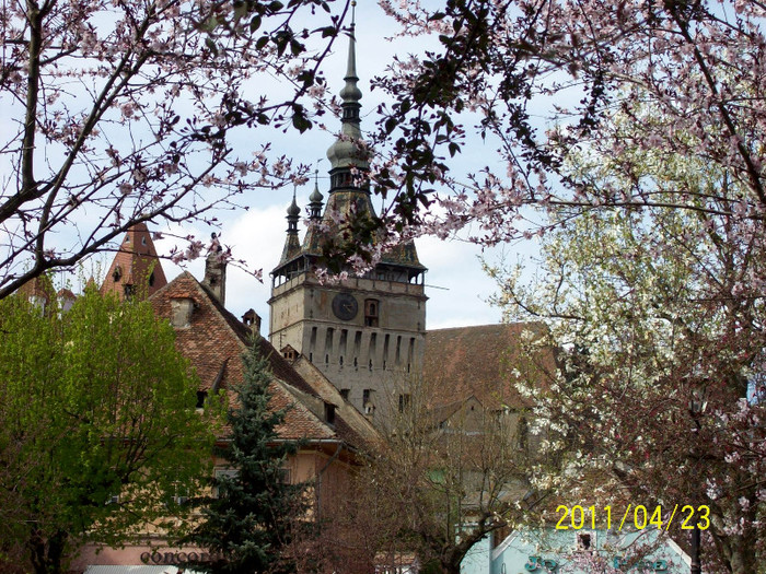 100_3790 - SIGHISOARA  PRIMAVARA album 01