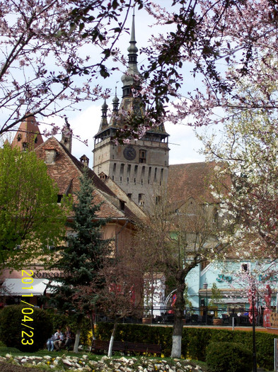 100_3791 - SIGHISOARA  PRIMAVARA album 01