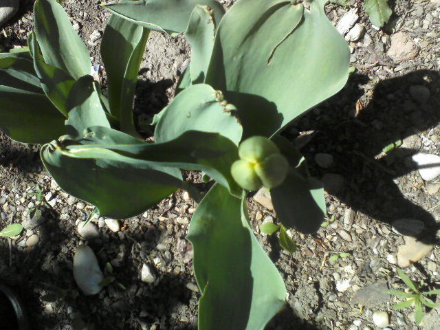 P23-04-12_11.38[1]