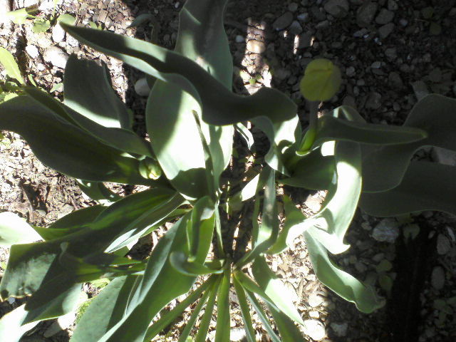 P23-04-12_11.38[2]