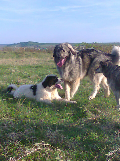 Impreuna cu Giulia de Dascalu