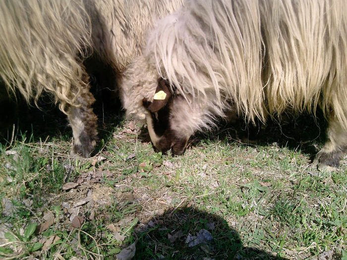 P110412_15.59_[03] - Oi