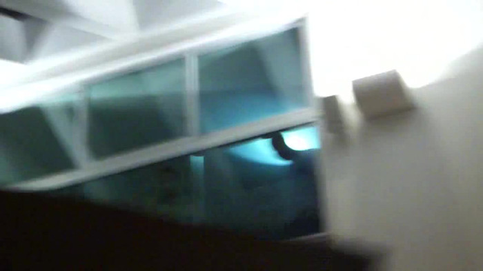 Demi  -  Sheraton Barra (93) Demi  -  Sheraton Barra (93)