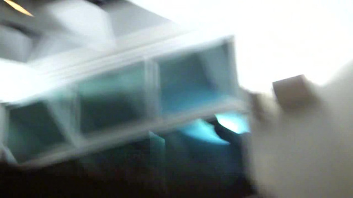 Demi  -  Sheraton Barra (97) Demi  -  Sheraton Barra (97)