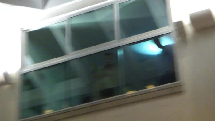 Demi  -  Sheraton Barra (190)