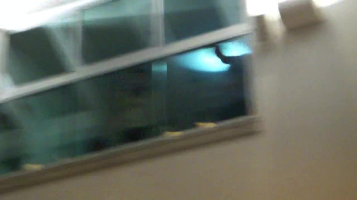 Demi  -  Sheraton Barra (227)