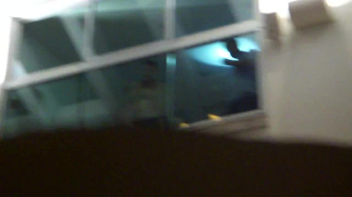 Demi  -  Sheraton Barra (245)