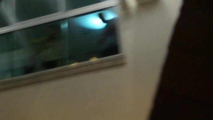 Demi  -  Sheraton Barra (252)