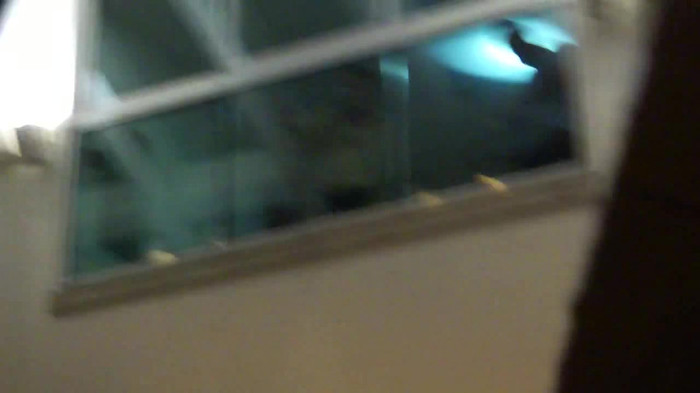 Demi  -  Sheraton Barra (258)