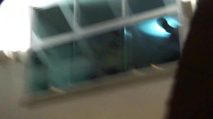 Demi  -  Sheraton Barra (260)