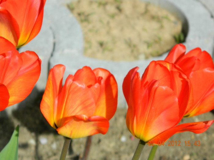 014 - 4_APRILIE