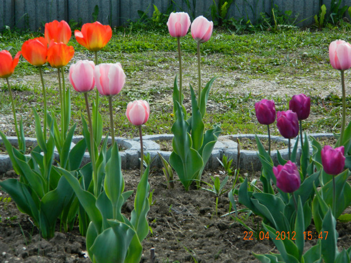 022 - 4_APRILIE