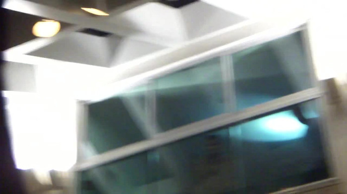 Demi  -  Sheraton Barra (759)