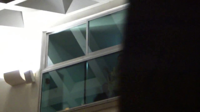 Demi  -  Sheraton Barra (781)