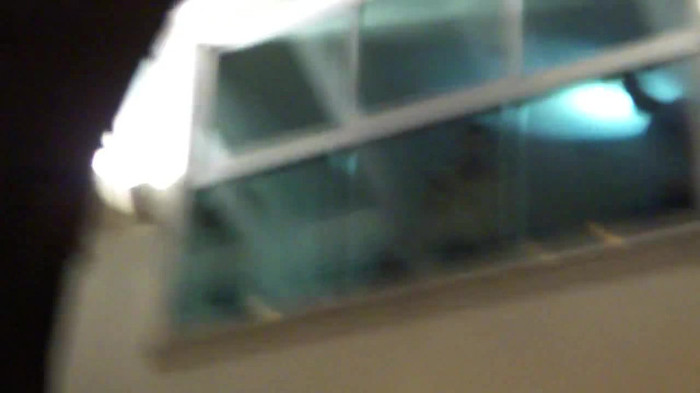 Demi  -  Sheraton Barra (876)