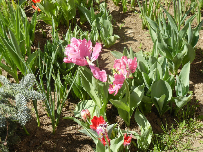 2012, April 22