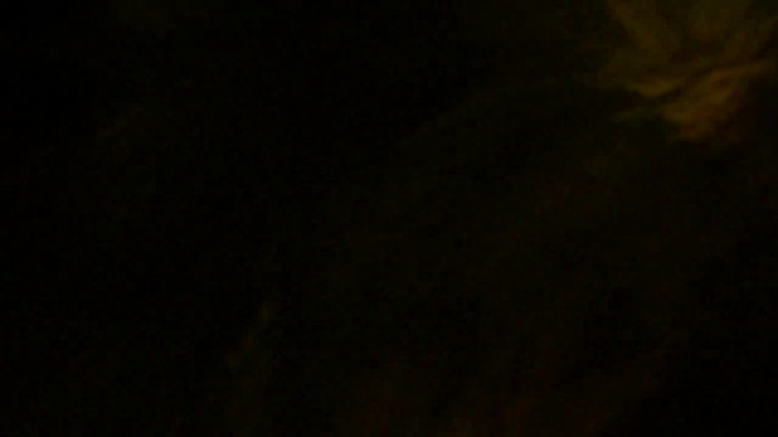 Demi  -  Sheraton Barra (1088)
