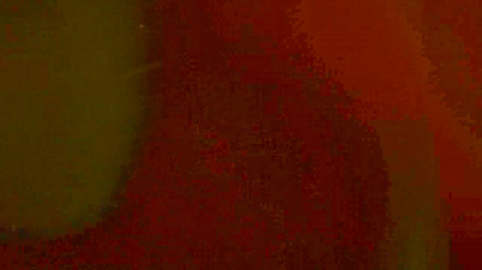 Demi  -  Sheraton Barra (1160)